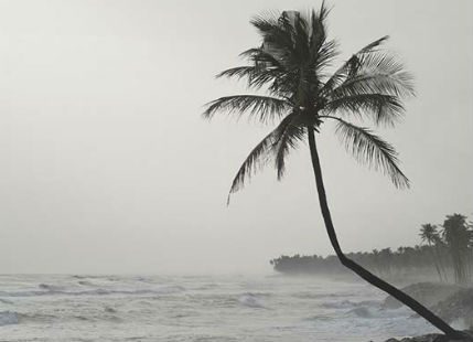 Monsoon rain in Andaman and Nicobar