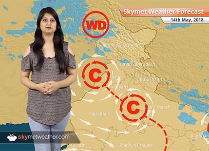 Weather Forecast for May 14: Dust storm, thunderstorm in Delhi, Punjab, Haryana