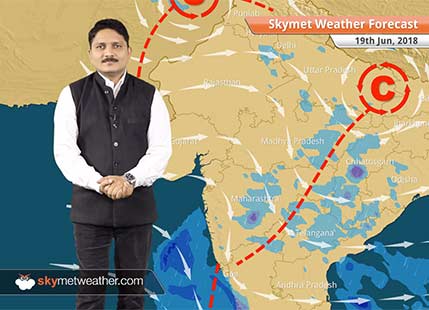 Weather Forecast for June 19: Thunderstorm in Punjab, Haryana; Hot in Rajasthan, Gujarat