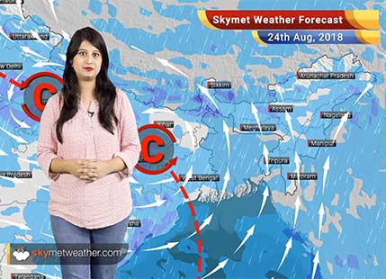 Weather Forecast for August 24: Rain in Punjab, Haryana, Delhi, Uttar Pradesh