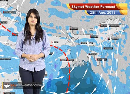 Weather Forecast for August 25: Rain in Delhi, Uttarakhand, Himachal, Punjab, Haryana