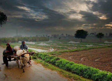 Rain in MadhyaPradesh