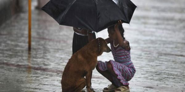 monsoon in south