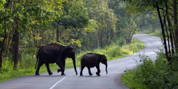 kerala