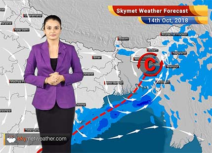 Weather Forecast for Oct 14: Weather System to bring back rains in Kerala, AP, and Tamil Nadu