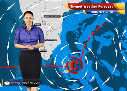 Weather Forecast for Oct 30: Low pressure in Bay to give rain in West Bengal, Odisha, Northeast; Delhi pollution to rise