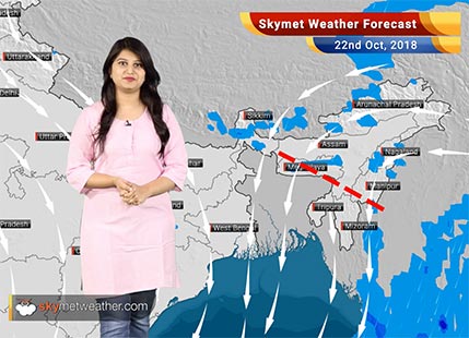 Weather Forecast for Oct 22: Rain in South India, dry weather in Delhi, Haryana, Rajasthan