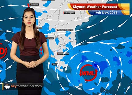 Weather Forecast for Nov 19: Well-Marked Low to bring rains over Tamil Nadu, Delhi pollution to intensify