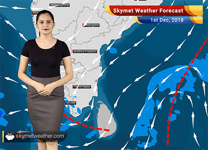 Weather Forecast for Dec 1: Rain in parts of Kerala, Tamil Nadu to continue