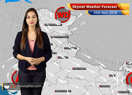 Weather Forecast for Nov 20: Well-Marked Low-pressure area to bring rain in Tamil Nadu, Kerala and Karnataka. Light relief from Pollution in Delhi.