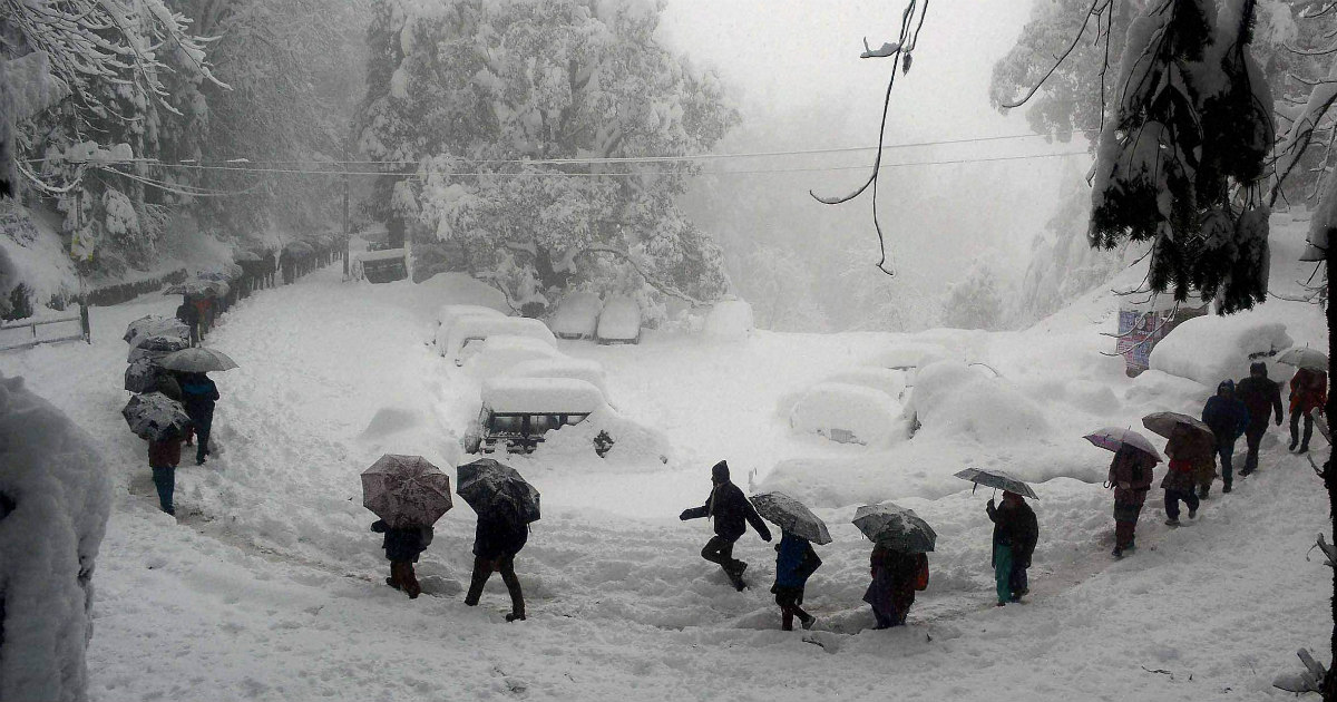 Погода хил. Кашмир снег. Heavy Snowfall. Шимла Мороз. Шимла дождь.