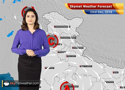 Weather Forecast for Dec 23: Tamil Nadu, Kerala, Karnataka, Andhra Pradesh to witness light rains