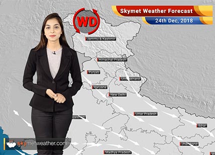 Weather Forecast for Dec 24: Light rainfall in Tamil Nadu and Karnataka, fog in northern parts of the country