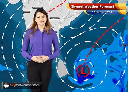 Weather Forecast for Dec 11: Rain and snow likely in Jammu and Kashmir and Himachal Pradesh