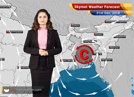 Weather Forecast for Dec 31: Cold wave conditions to grip North, Central and East India