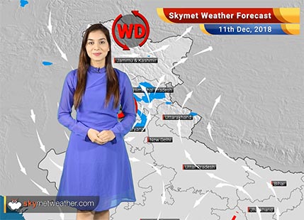 Weather Forecast for Dec 11: Snowfall in Jammu and Kashmir and Himachal Pradesh, Light rains in Delhi