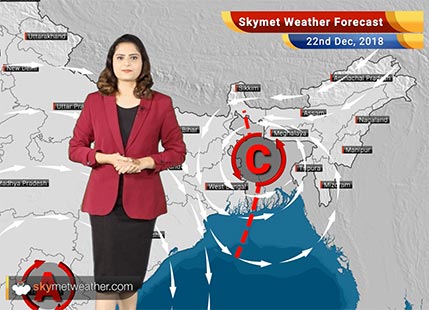 Weather Forecast for Dec 22: Rains over Tamil Nadu, parts of Karnataka, Kerala and Andhra expected