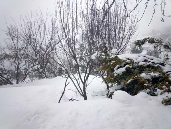 Snow in Kashmir