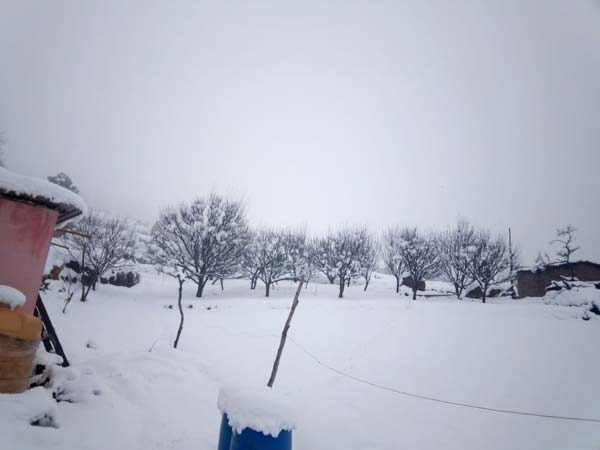 Snow in Kashmir