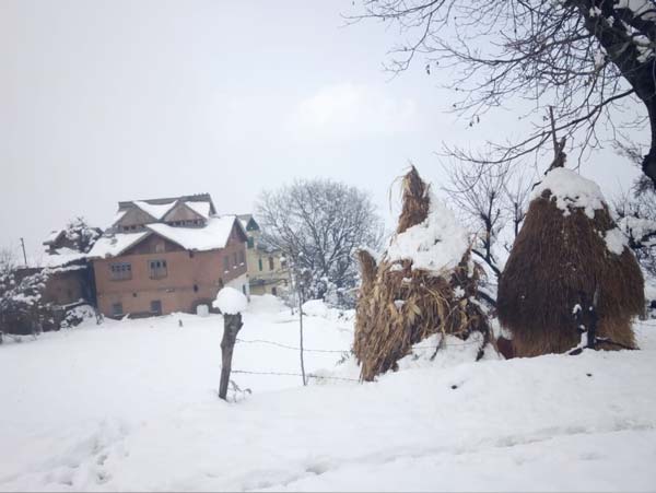 Snow in Kashmir