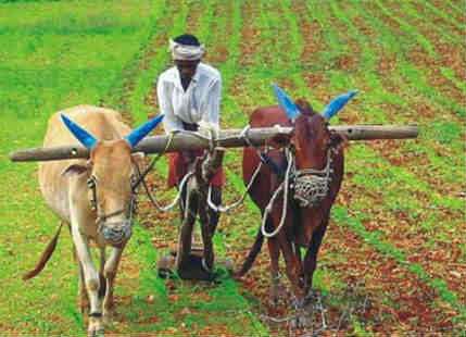 Agriculture and Union Budget