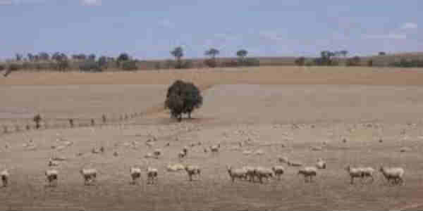 East Australia drought web