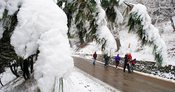 Gulmarg-Snowfall-600