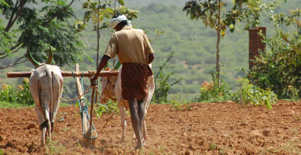 Marathwada farmer_somthingsbrewing 600