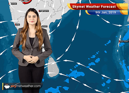 Weather Forecast Jan 9: Minimums to drop over Punjab, Haryana, Delhi, West UP, MP, Chhattisgarh, Gujarat