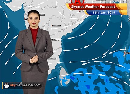 Weather Forecast Jan 12: Rain and snow in Kashmir, Himachal, Uttarakhand, minimums to rise in parts of Central and South India