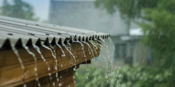 Odisha and Chhattisgarh rains