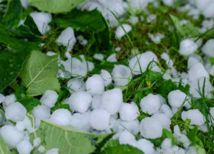 Rains in Uttarakhand