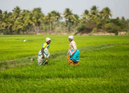 Agriculture and Economy