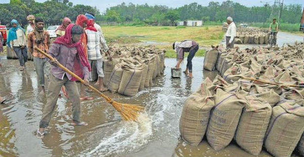 Haryana and Punjab Rains--The Hindu  600