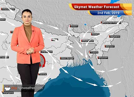 Weather Forecast Feb 2: Isolated light rain, snow over Gulmarg, Sonmarg, Uttarkashi