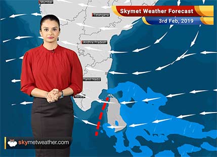 Weather Forecast Feb 3: Dense fog to cover parts of Solan, Rishikesh, Hisar, Delhi, Bareilly