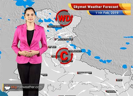 Weather Forecast Feb 11: Rain in Kashmir, Himachal, Uttarakhand, Tamil Nadu, Karnataka likely