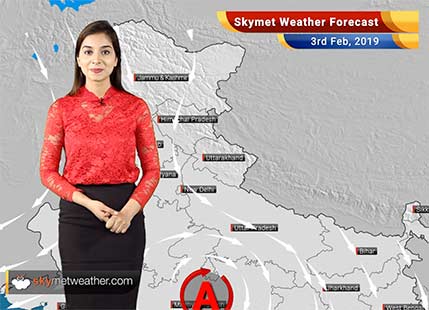 Weather Forecast for Feb 3: Dense fog over Shimla, Chandigarh, Dehradun, Ambala and Delhi