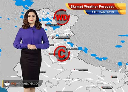 Weather Forecast for Feb 11: Rains likely over Himachal, Uttarakhand, Kashmir, Karnataka, Tamil Nadu