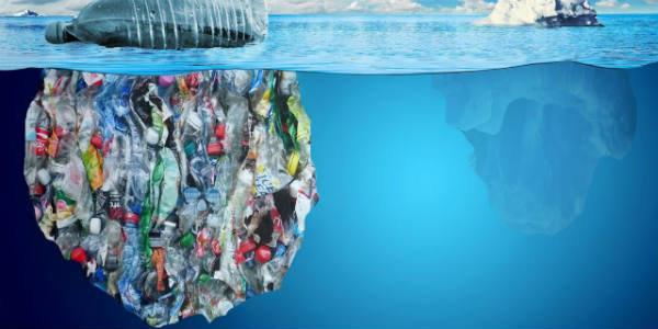 Plastic Pollution