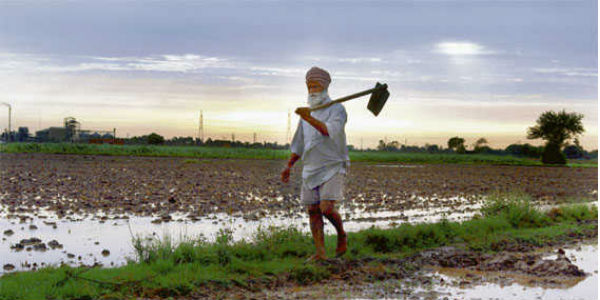 Punjab farmer