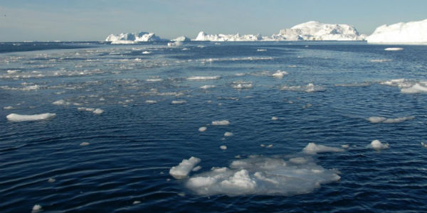 Ice Free Arctic