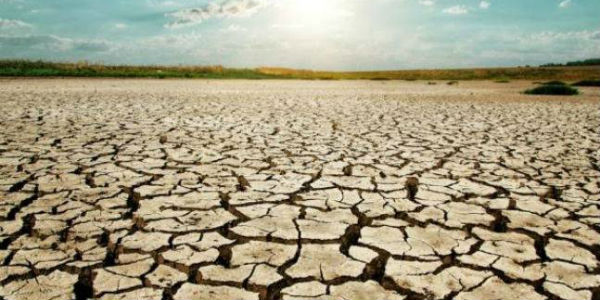 Drought in Maharashtra