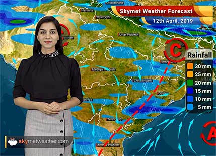 Weather Forecast for April 12: Rains in Punjab, Haryana, dust storm in Rajasthan, Delhi and Uttar Pradesh