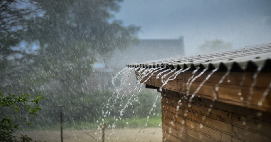 rain in punjab and haryana