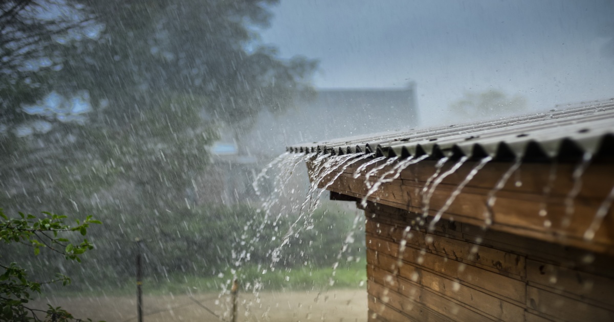 rain in punjab and haryana