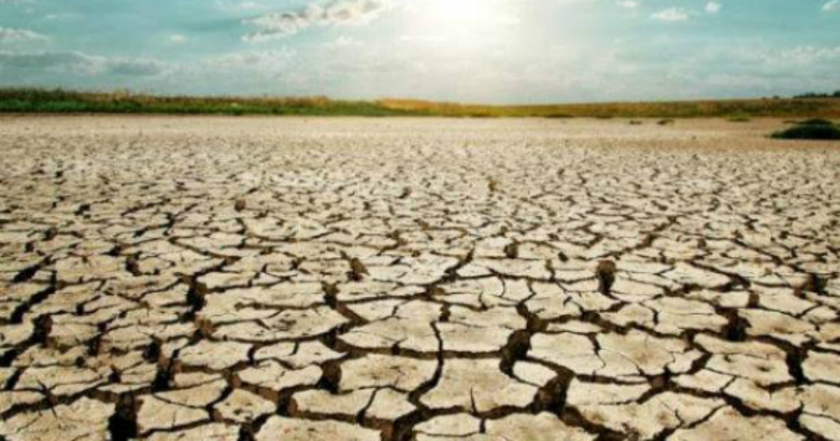 drought in Maharashtra