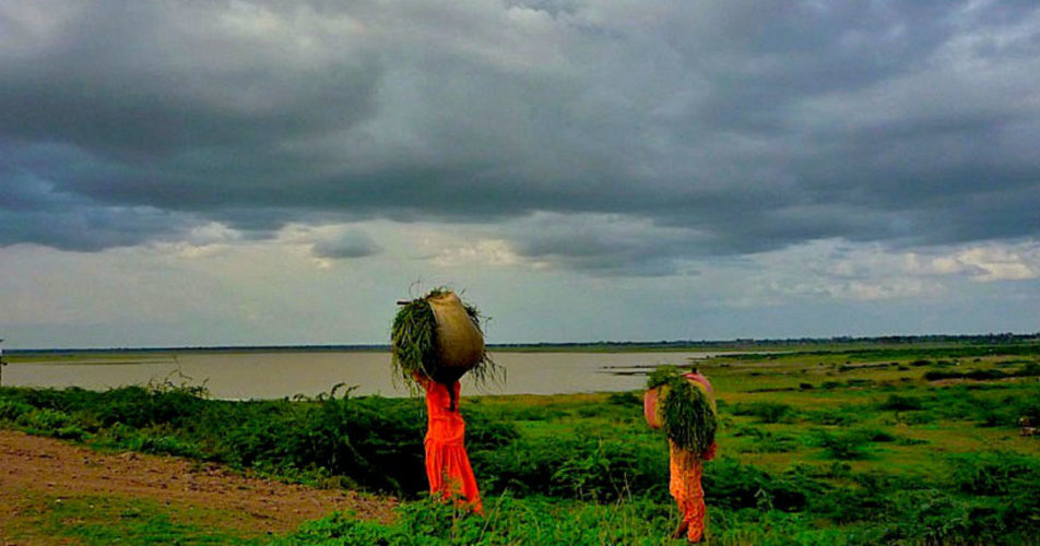 Rain in Maharashtra