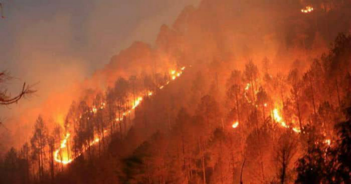 Uttarakhand Wildfires