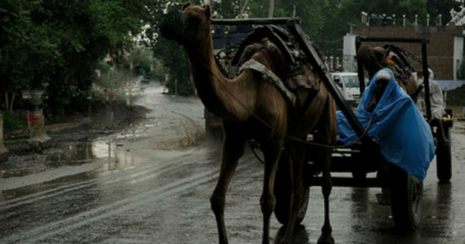 Rajasthan rains